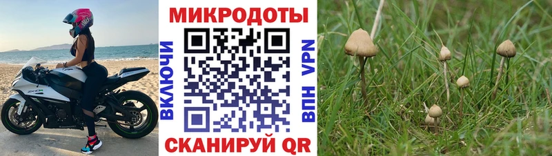 Галлюциногенные грибы ЛСД  купить наркотики цена  Калининск 